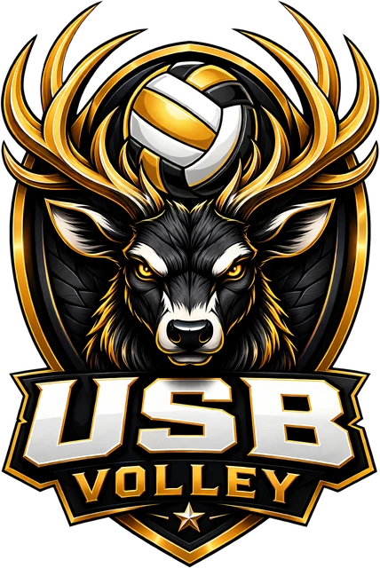 Logo USB Section Volley-ball